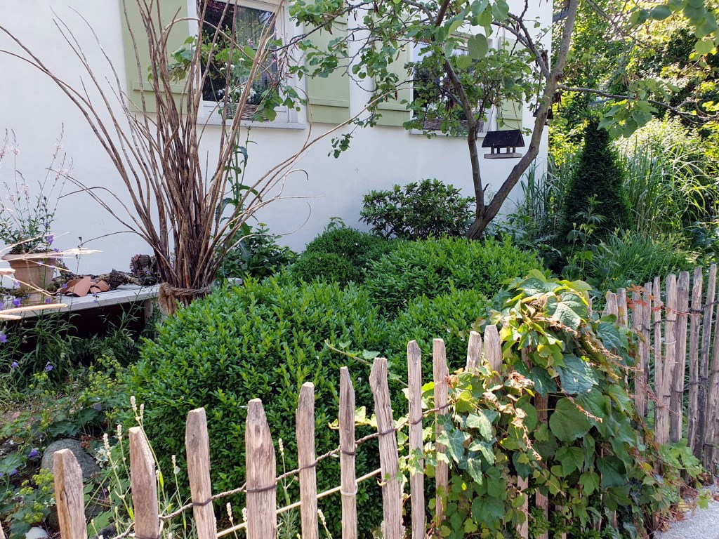 Ein Staketenzaun trennt die Straße vom Vorgarten. Dahinter wachsen viele Pflanzen.