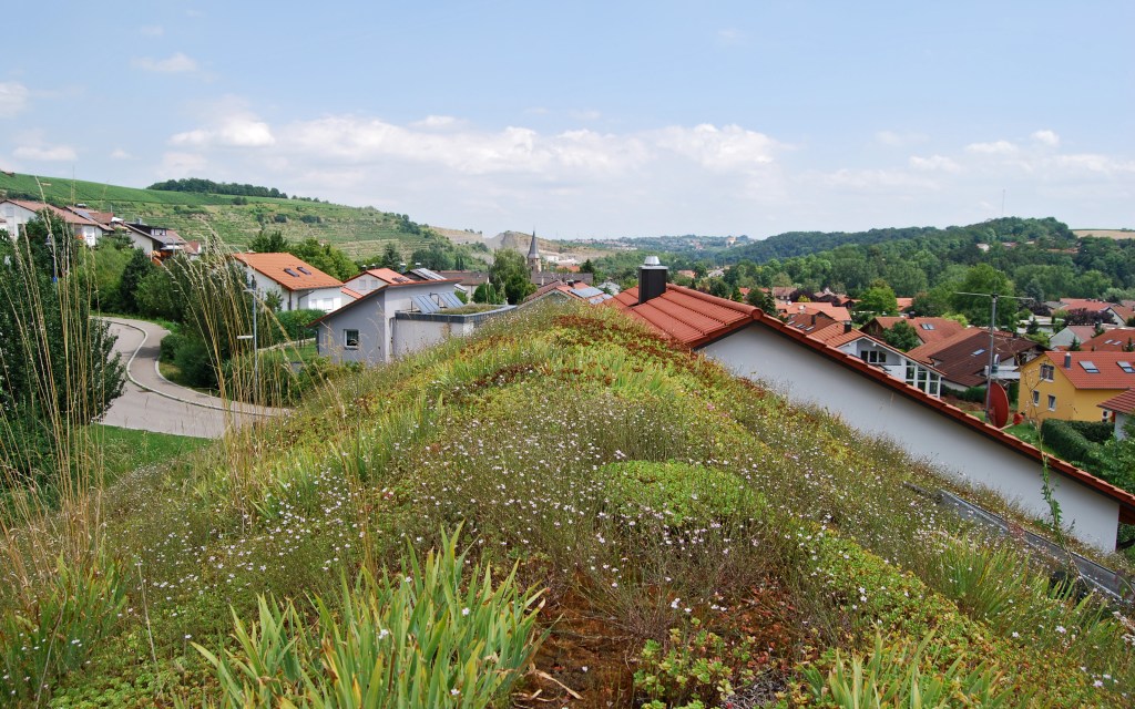 Hinter einem begrünten Dach sieht man in eine grünes Tal mit kleinen Häusern.