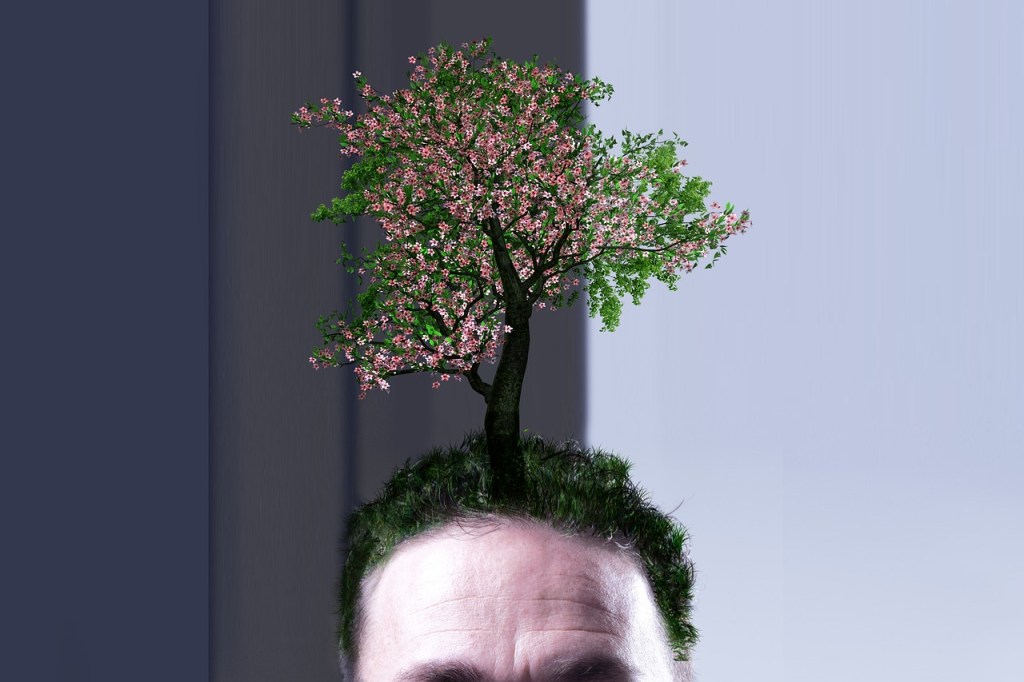 Aus dem Kopf eines Menschen mit grünen Haaren, wächst ein Baum.