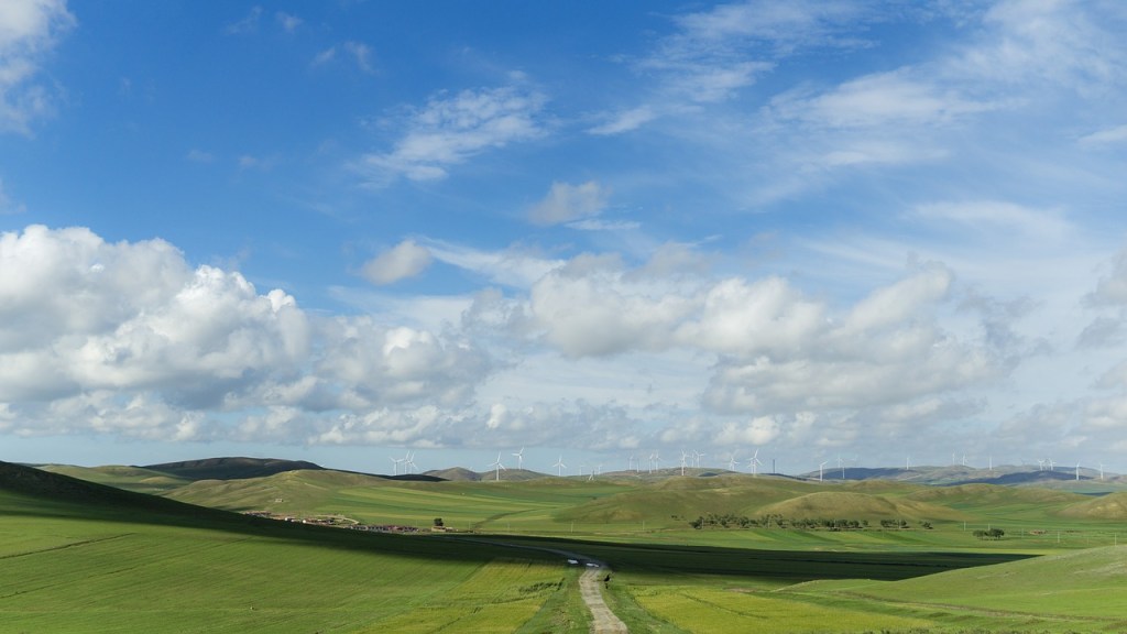 Die Weite einer Graslandschaft unter blauem Himmel.