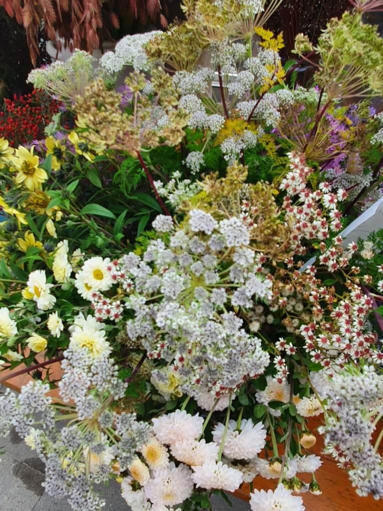 Verschiedene Herbstblumen