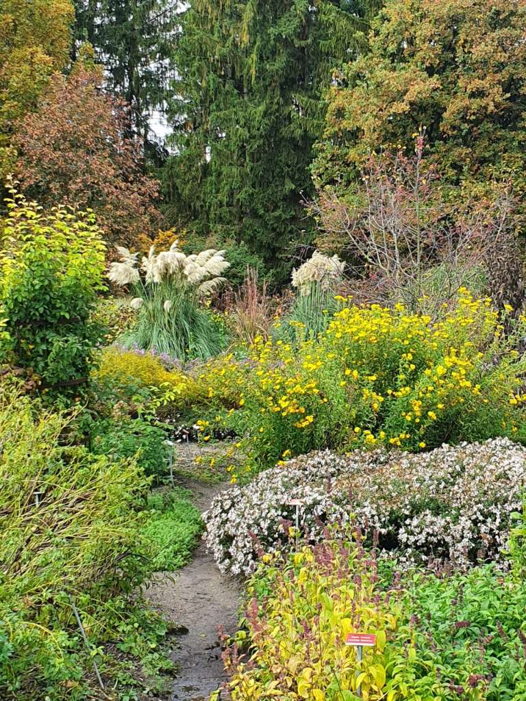 Ein schmaler Pfad führt durch üppg wachsende Staudenbeete.