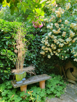 Auf einer kleinen Bank steht Dekoration. Daneben blüht ein Rosenstrauch.