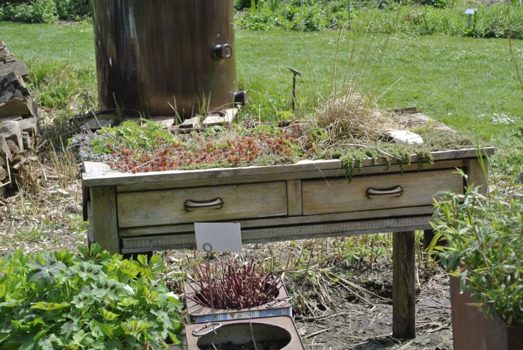 Die Tischplatte eines alten Holztisches wurde entfernt und dafür Pflanzen eingesetzt.