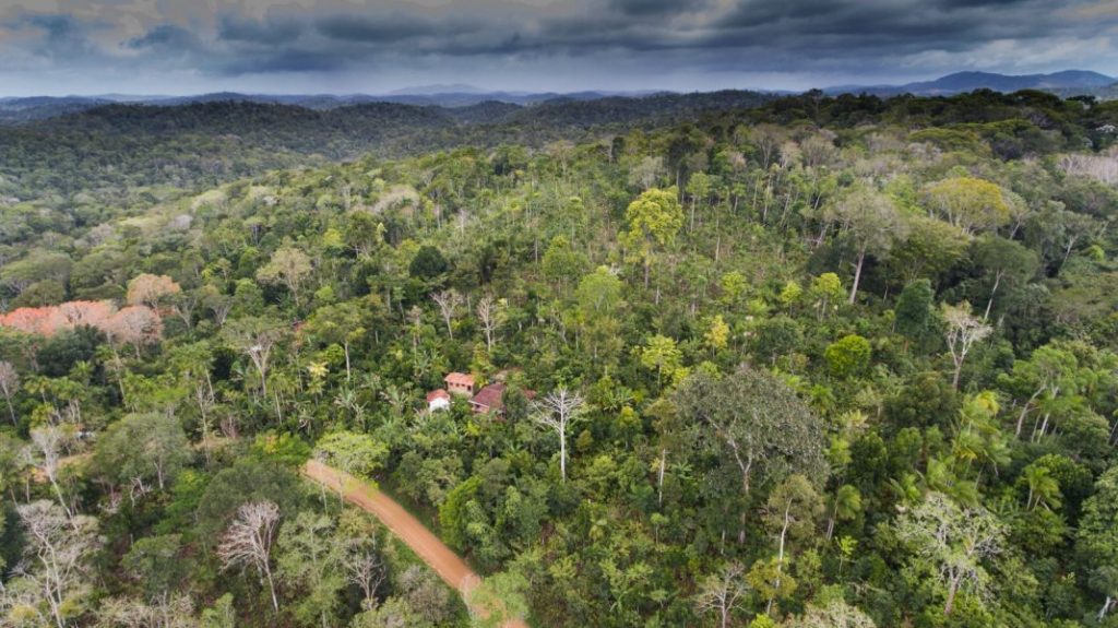 Die Farm von Ernst Gösch aus der Luft betrachtet. Das Farmhaus ist inmitten der Bäume kaum zu erkennen.