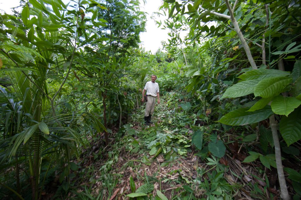 Ersnt Gösch umgeben von üppiger Baumladschaft