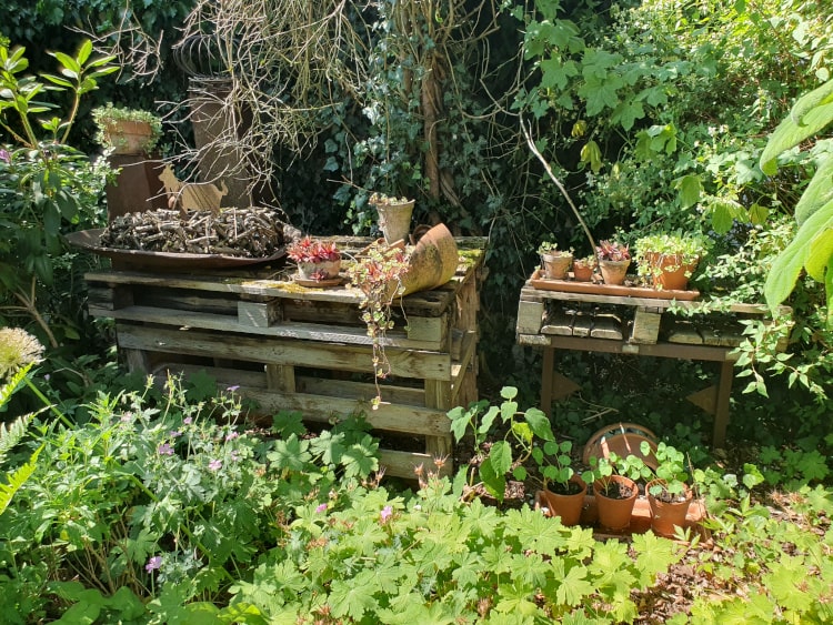Regale aus Europaletten stehen im Beet. Darauf stehen Blumentöpfe.