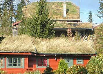 Zwei Dächer mit hohem Gras. Das kleinere Haus hat eine rote Fassade.