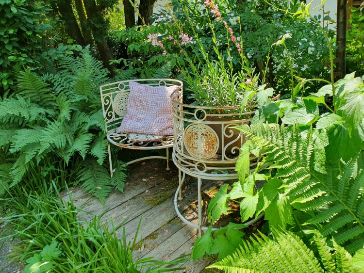 Zwei runde und verschnörkelte Eisenstühle stehen inmitten von Pflanzen. Auf einem ist ein Kissen, auf dem anderen ein Blumentopf.