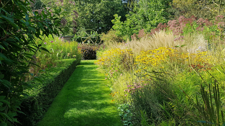 Zwischen zwei langen Blumen-Beeten ist ein Stückchen Rasen als Weg.