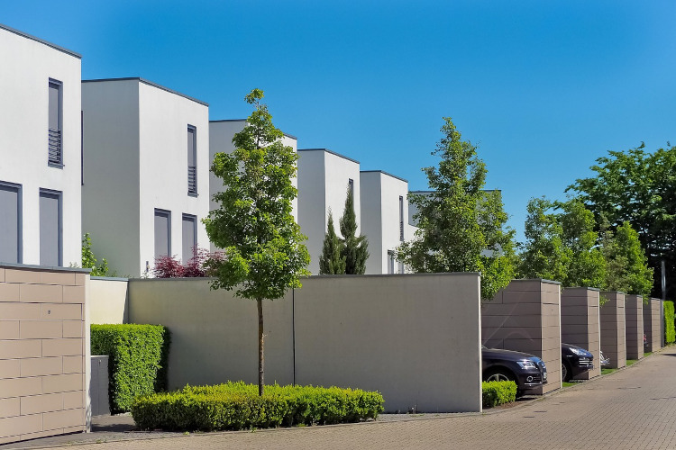 Eine Neubausiedlung. In jedem Vorgarten steht ein Baum.