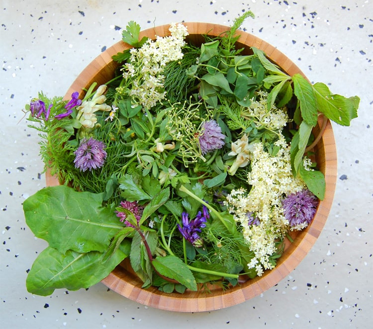 Verschiedene Kräuter mit Blüten liegen in einer Holzschale.