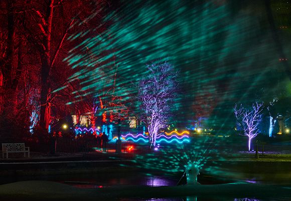 Bäume werden mit verschieden farbigen Licht beleuchtet.