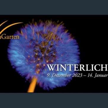 Eine Pusteblume wird blau angeleuchtet und es ist zu lesen: Palmengarten Winterlichter 9.Dezember 2023 - 14.Januar 2024