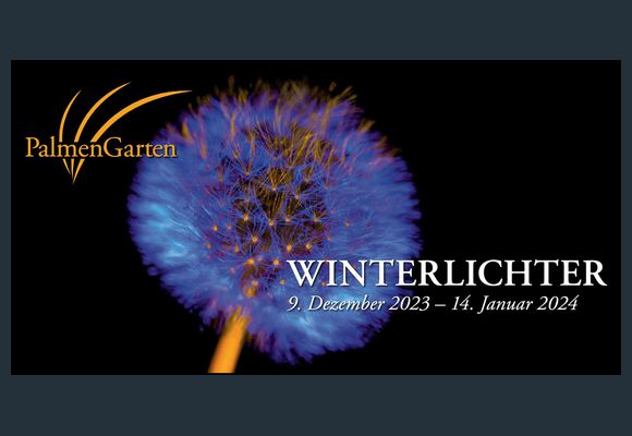 Eine Pusteblume wird blau angeleuchtet und es ist zu lesen: Palmengarten Winterlichter 9.Dezember 2023 - 14.Januar 2024