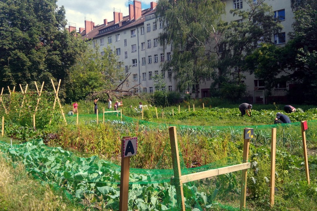 Gemüsegarten im Fordergrund. Dahinter sind große Wohngebäude zu sehen.