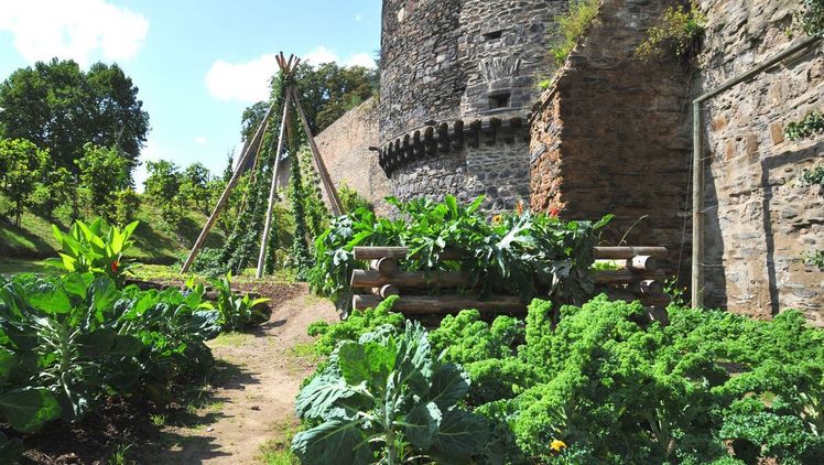 Gemüseanbaufläche vor einer altertümlichen Stadtmauer