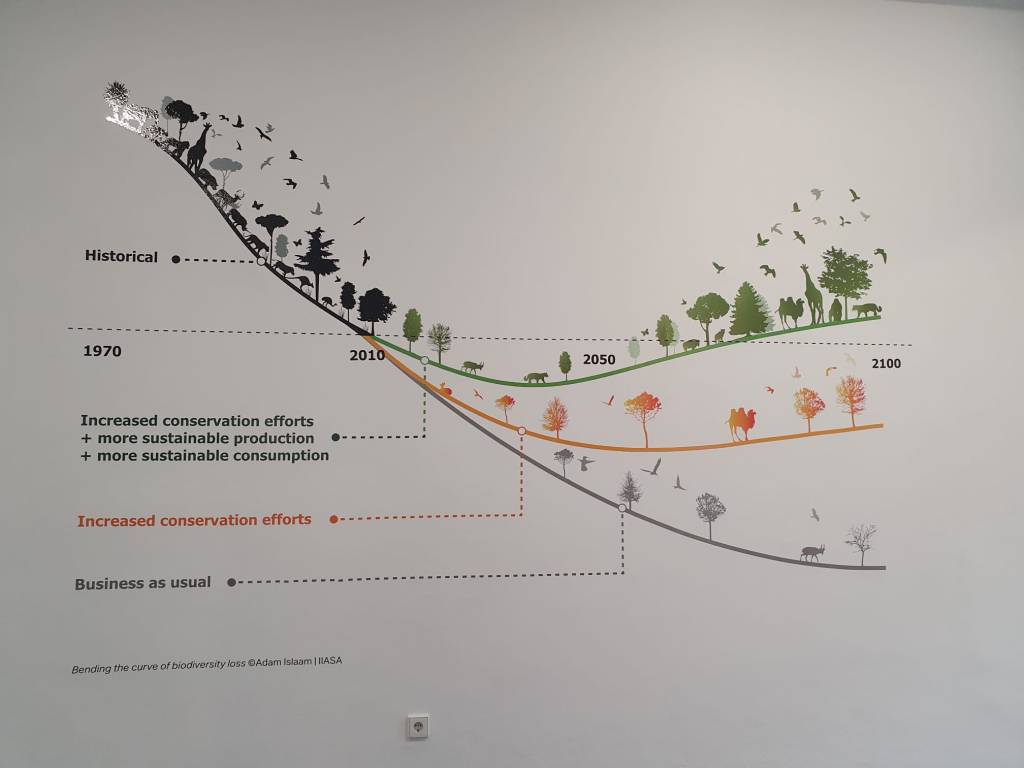3 Kurven verdeutlichen, wie sich die Biodiversität verändern wird, je nachdem ob der Mensch seine Handeln verändert oder nicht.