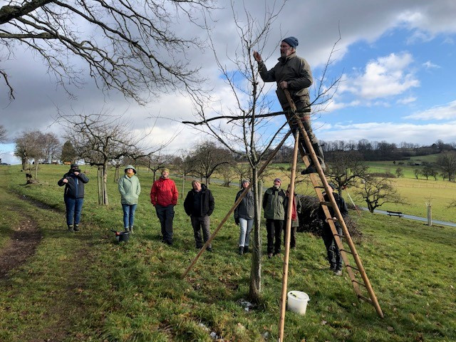 Eine Gruppe von Menschen beobachtet wie ein Mann einen Obstbaum schneidet